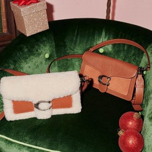 Coach (Re)Loved Bags Sale