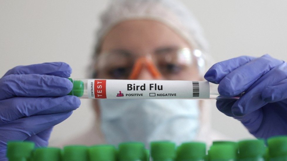 注意防护！马里兰州出现“禽流感”病例，传染性强或可致死！