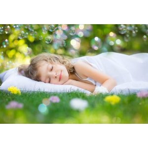 Little Dreamers Toddler Pillow with Pillow Case