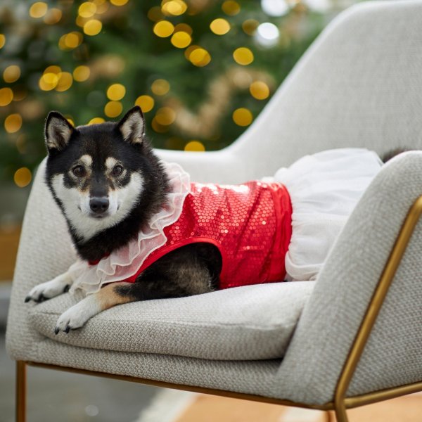 Red Sequin Dog & Cat Dress, Medium - Chewy.com