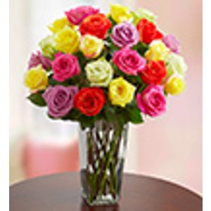 两打(24朵)彩色玫瑰+免费花瓶