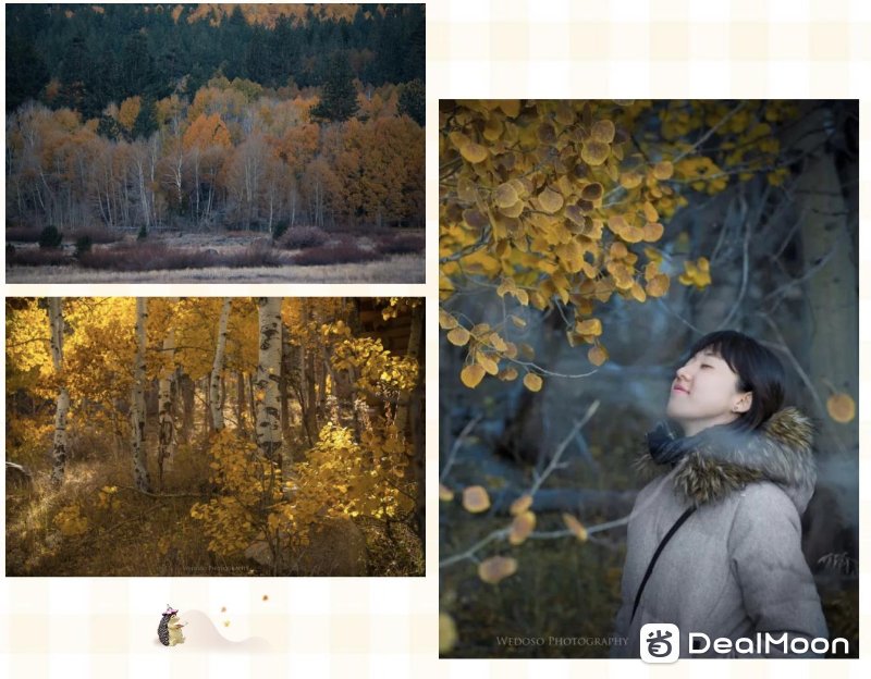 Screen Shot 2019-10-15 at 11.06.38 PM.png