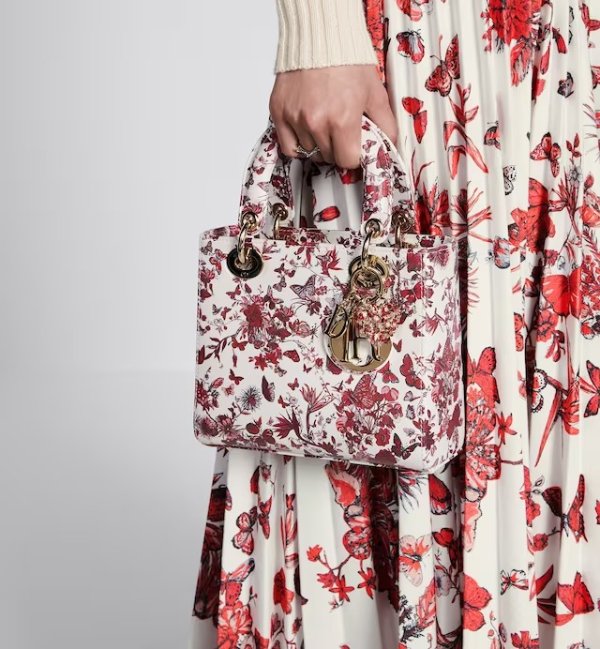 Small Lady Dior My ABCDior Bag White and Red Calfskin with Le Coeur des Papillons Print