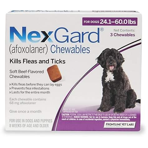 Chewables - Purple for Dogs 24.1 to 60 lbs