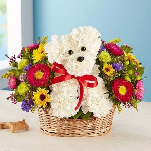 Father’s Day Flowers, Plants & Gifts