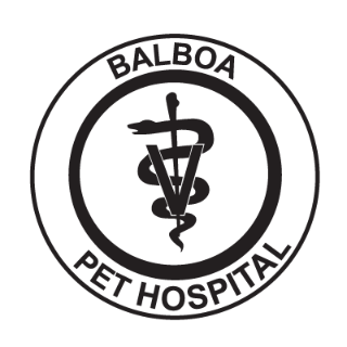 Balboa Pet Hospital - 旧金山湾区 - San Francisco