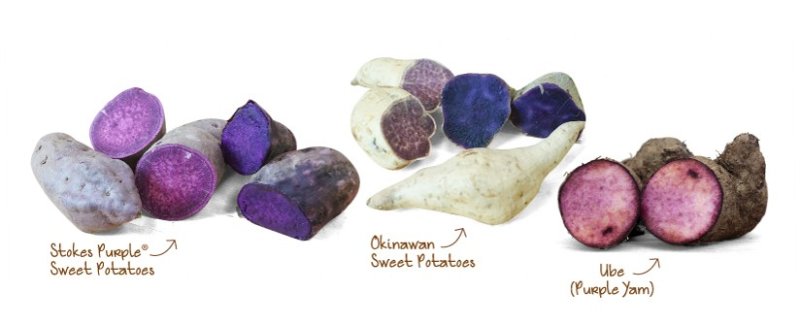 Stokes_Oki_Ube_Group_1.jpg