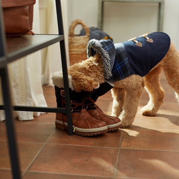 Plaid Hooded Insulated Dog & Cat Peacoat, Navy, X-Small - Chewy.com