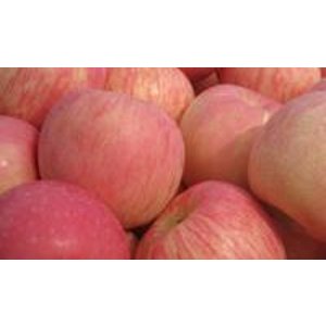 50% Off Organic Fuji Apple from Olive Seven Farms @ GrubMarket