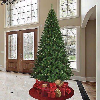 9' Black Friday 3-Function Color Changing Lighted Tree