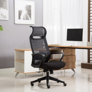 GreenForest Ergonomic Office Chair High Back Desk Chair