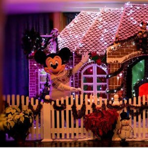 迪士尼邮轮 11月圣诞主题航线促销  纽约-圣胡安单线