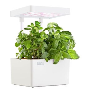 Back to the Roots Hydroponic Grow Kit