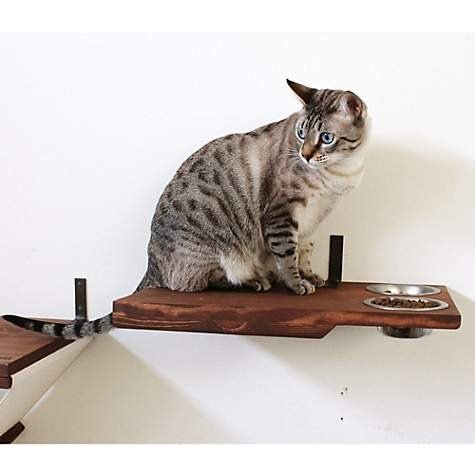 CatastrophiCreations Solid Wood Dining Shelf for Cats in English Chestnut