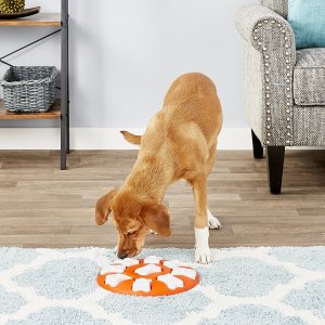 Nina Ottosson by Outward Hound Smart Puzzle Game Dog Toy