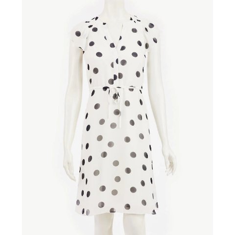 Ann Taylor波点连衣裙