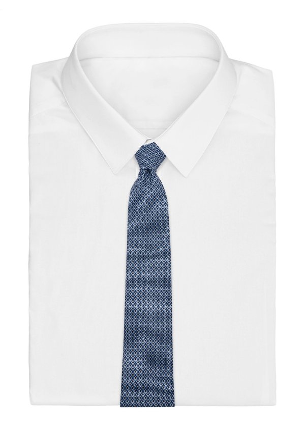 蓝色logo领带