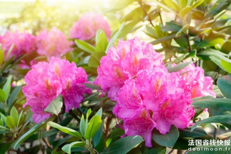 AdobeStock_207131097