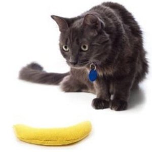 100-Percent Catnip Filled Banana Cat Toy