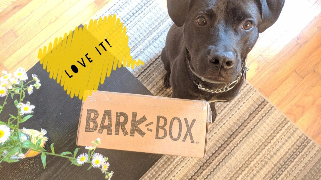 Barkbox, 狗子和你都值得拥有