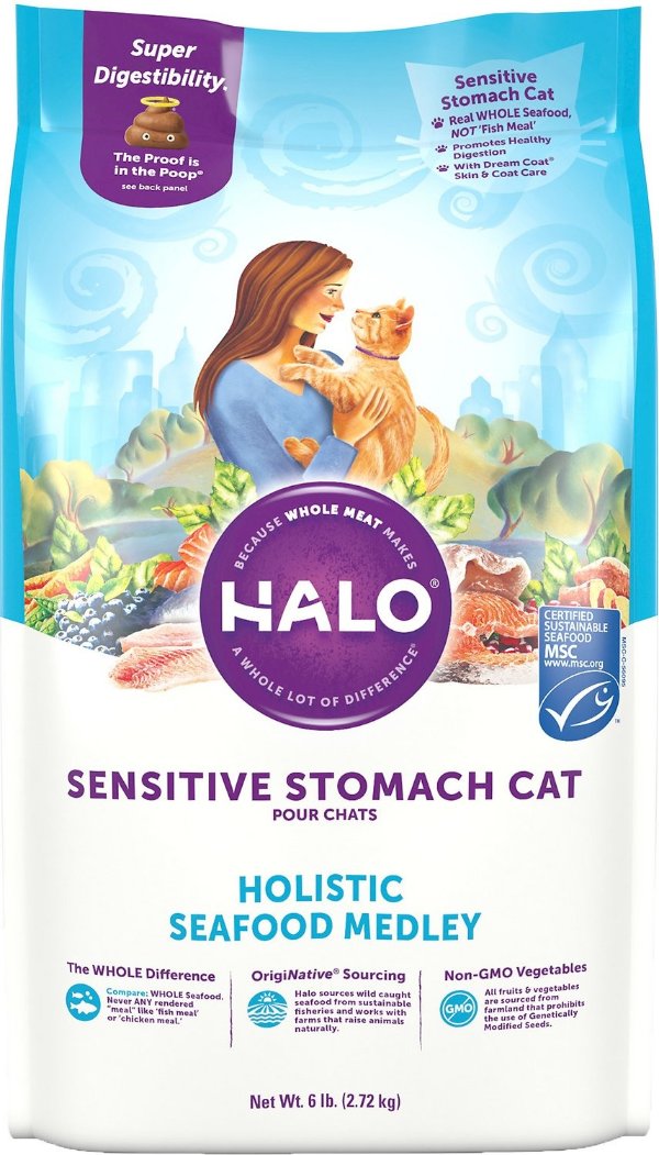 Holistic Seafood Medley Sensitive Stomach Dry Cat Food, 6-lb bag - Chewy.com