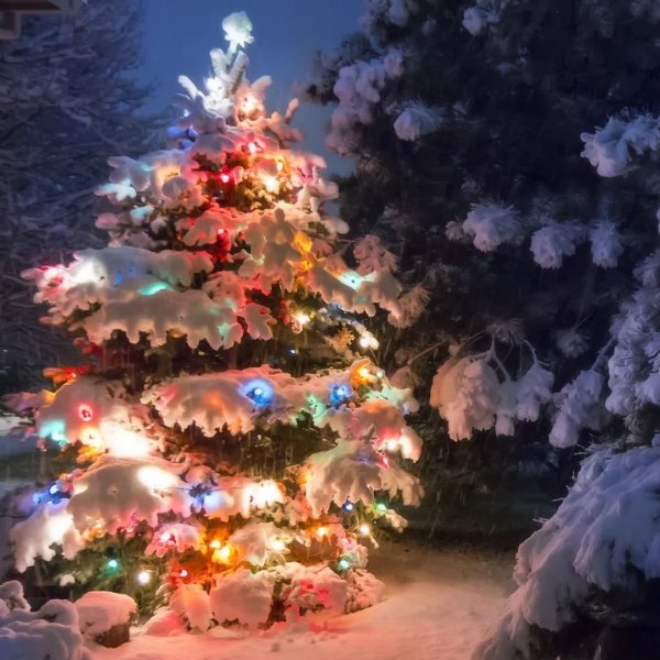 圣诞树装饰灯串 110灯珠