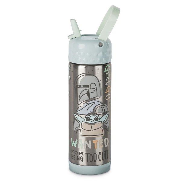 Star Wars: The Mandalorian Stainless Steel Water Bottle with Built-In Straw | shopDisney