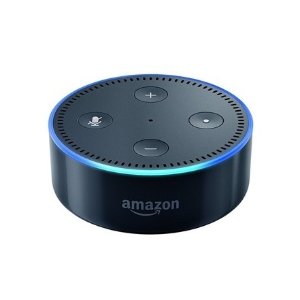 二手 Amazon Echo Dot 2代 双色可选