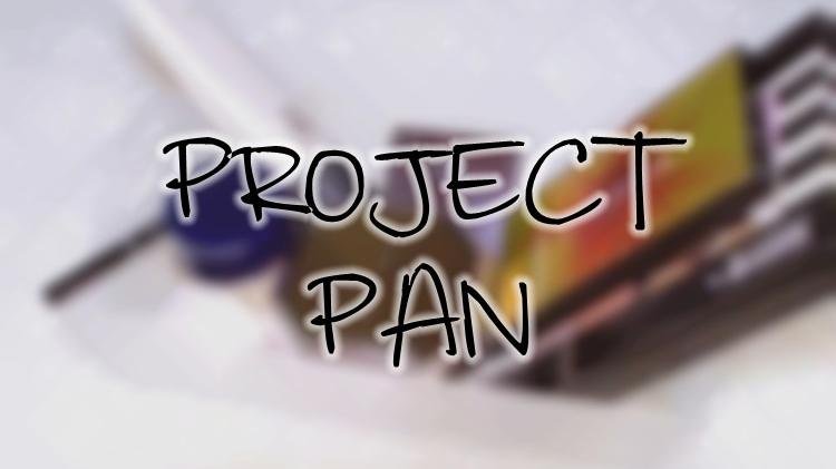 总结 | 关于Project Pan的一切