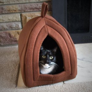 PAW Cozy 舒适猫屋