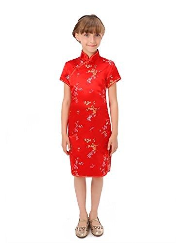 Blossom and Leaves Little Chinese Qipao Dress Red