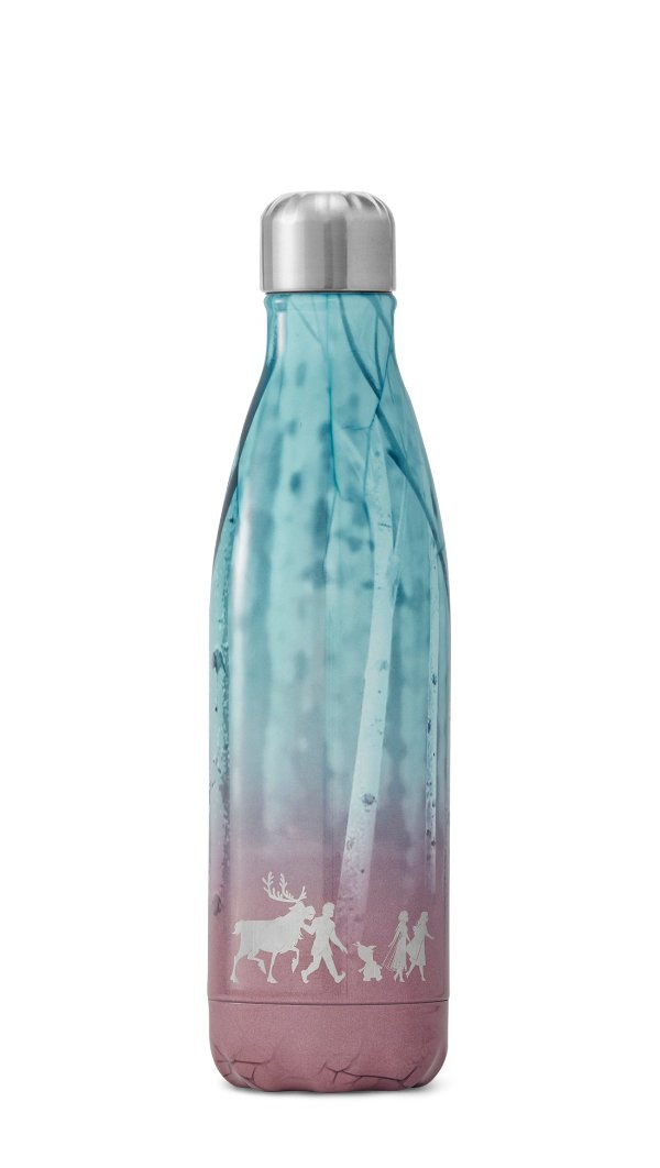 Disney Frozen 2 Frozen Quest | S'well® Bottle Official | Reusable Insulated Water Bottles