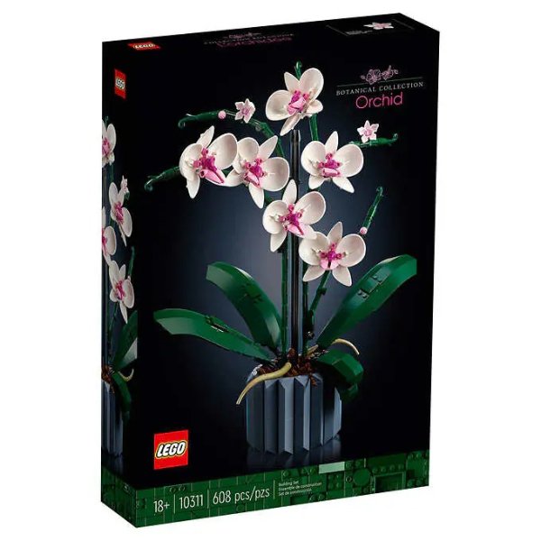 Orchid 10311