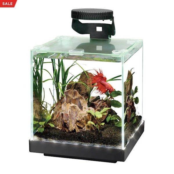 Edgelit Cube Glass Top Aquarium, 1 Gallon | Petco