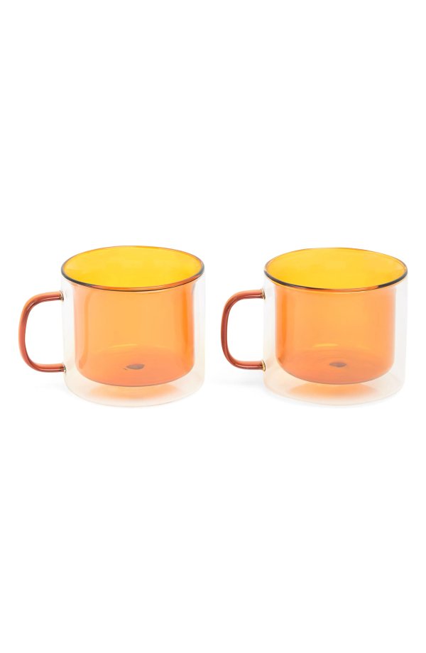 Double Walled Glass Mugs - Set of 2