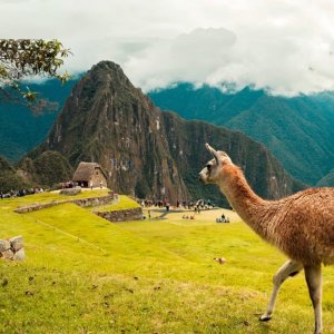 秘鲁利马4-6日机票+酒店深度自助游特价