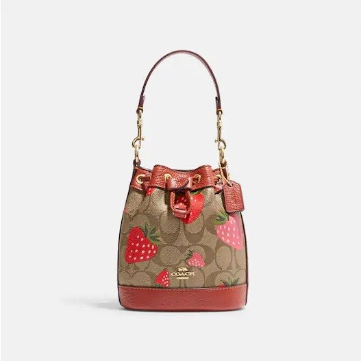 Mini Dempsey Bucket Bag In Signature Canvas With Wild Strawberry Print