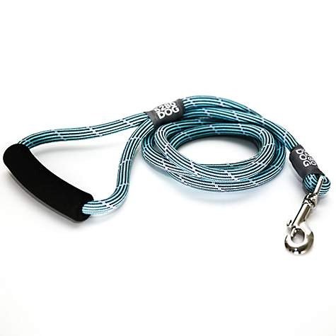 5280DOG Turquoise Braided Rope Leash | Petco