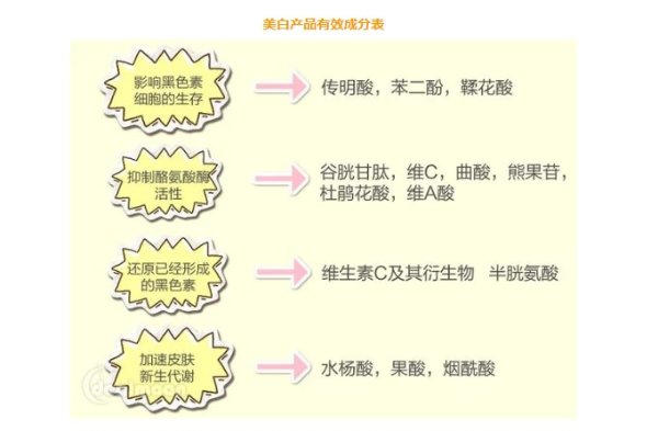 註解 2019-07-23 180043.jpg