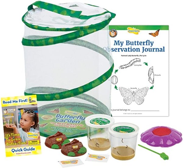 Insect Lore Butterfly Garden: Original Habitat and Two Live Cups of Caterpillars with STEM Butterfly Journal – Life Science & STEM Education – Butterfly Science Kit