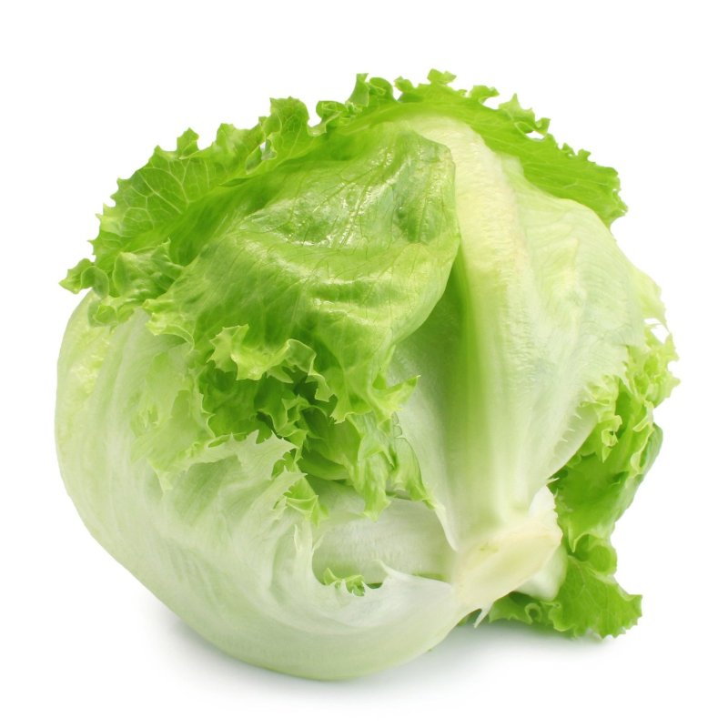 玻璃生菜英文 iceberg lettuce