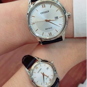 Citizen Eco-Drive Stainless Steel Men's and Women's Watches