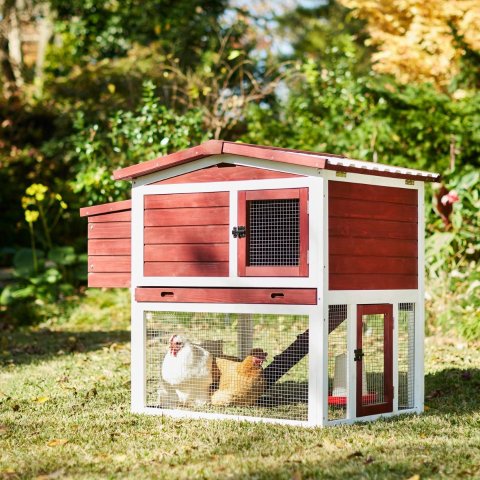 starting at $83chewy Chicken Coops & Pens on sale