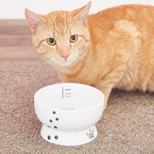 Raised Cat Water Bowl, White Paw Print - Chewy.com