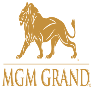 美高梅大酒店 - MGM Grand - 拉斯维加斯 - Las Vegas