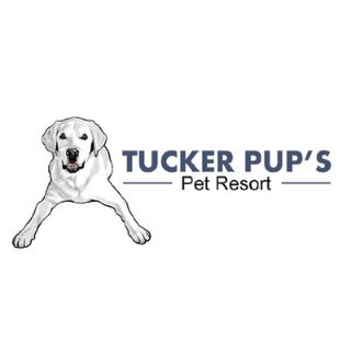 Tucker Pup's Pet Resort - 芝加哥 - Chicago