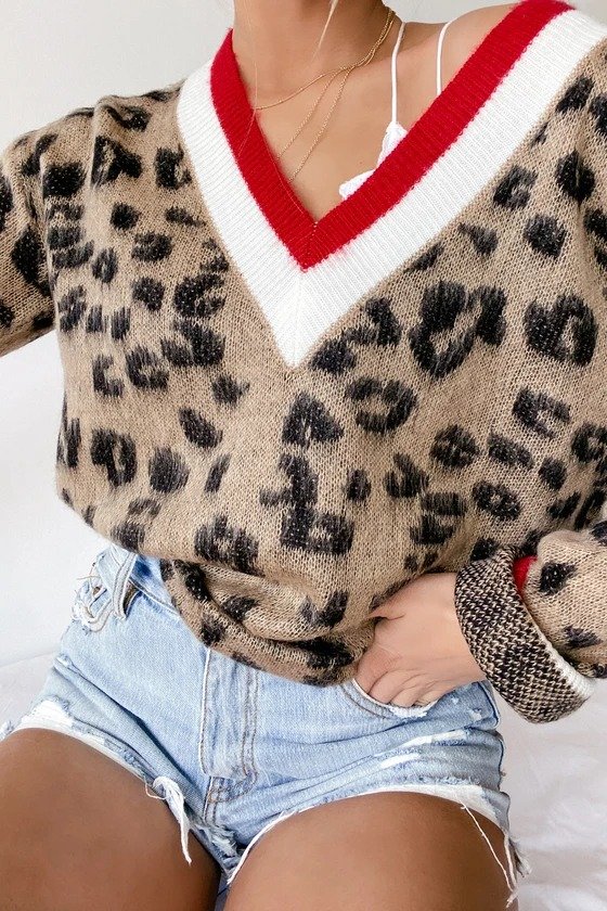 Style Instinct Leopard Print Color Block V-Neck Sweater