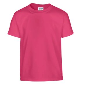 $2Gildan Short Sleeve Youth T-Shirt