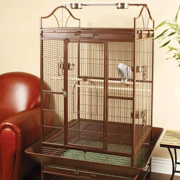Standing Parrot Cage | Petco