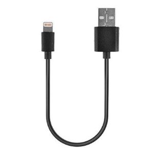 iTECHOR Lightning Cable (1 ft.)